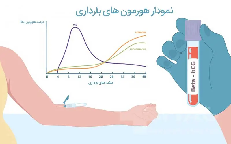 هورمون های بارداری و هفته بارداری